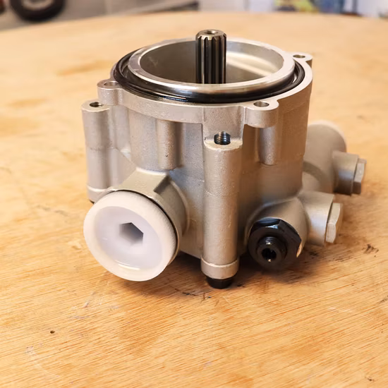 Rexroth Hydraulic Pump/Piston Pump/Pressure Pump/Oil Pump/Vane Pump/ Gear Pump/Excavator Pump for A2fo/A2FM/A4V/A6vm/A7vo/A10vso/A11V/PV7/Pg/A4fo
