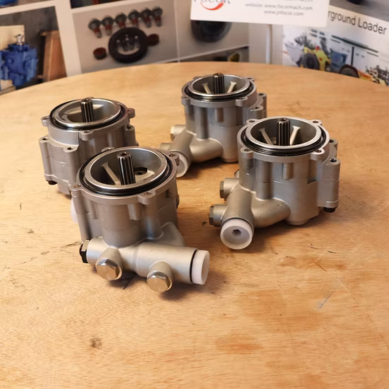Rexroth Hydraulic Pump/Piston Pump/Pressure Pump/Oil Pump/Vane Pump/ Gear Pump/Excavator Pump for A2fo/A2FM/A4V/A6vm/A7vo/A10vso/A11V/PV7/Pg/A4fo
